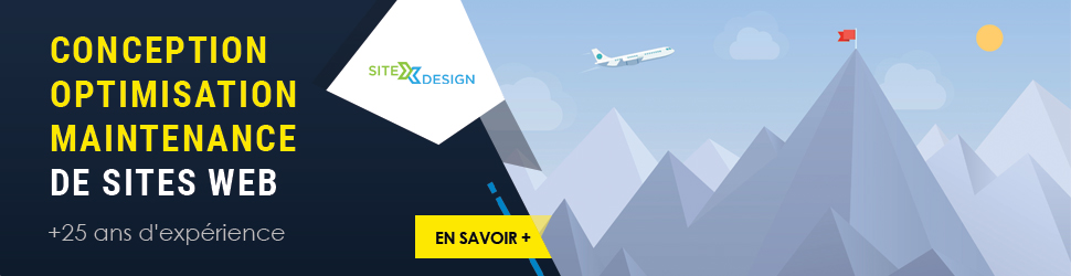 Conception, optimisation et maintenance de sites Web : 20 ans d'expérience dans la création, l'optimisation et la maintenance de sites Web